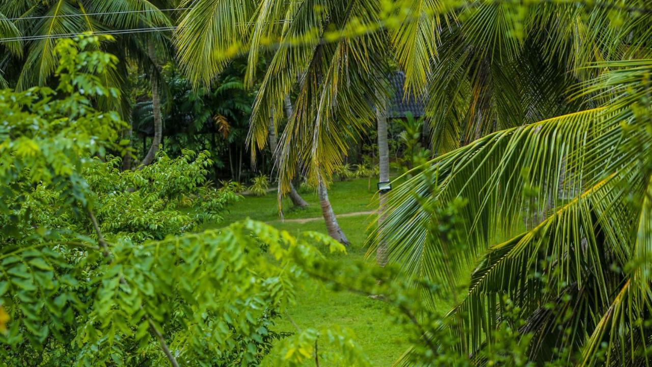 Silver Crown Nature Resort Kombichankulama Екстериор снимка