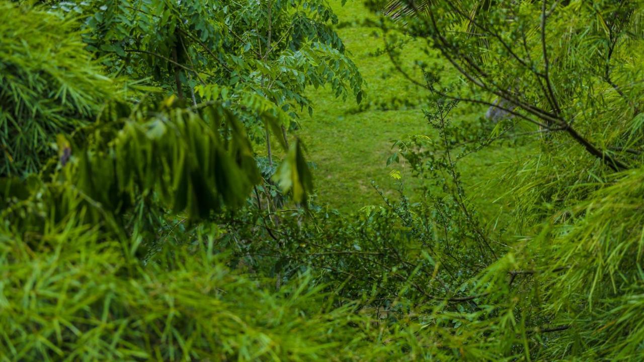 Silver Crown Nature Resort Kombichankulama Екстериор снимка